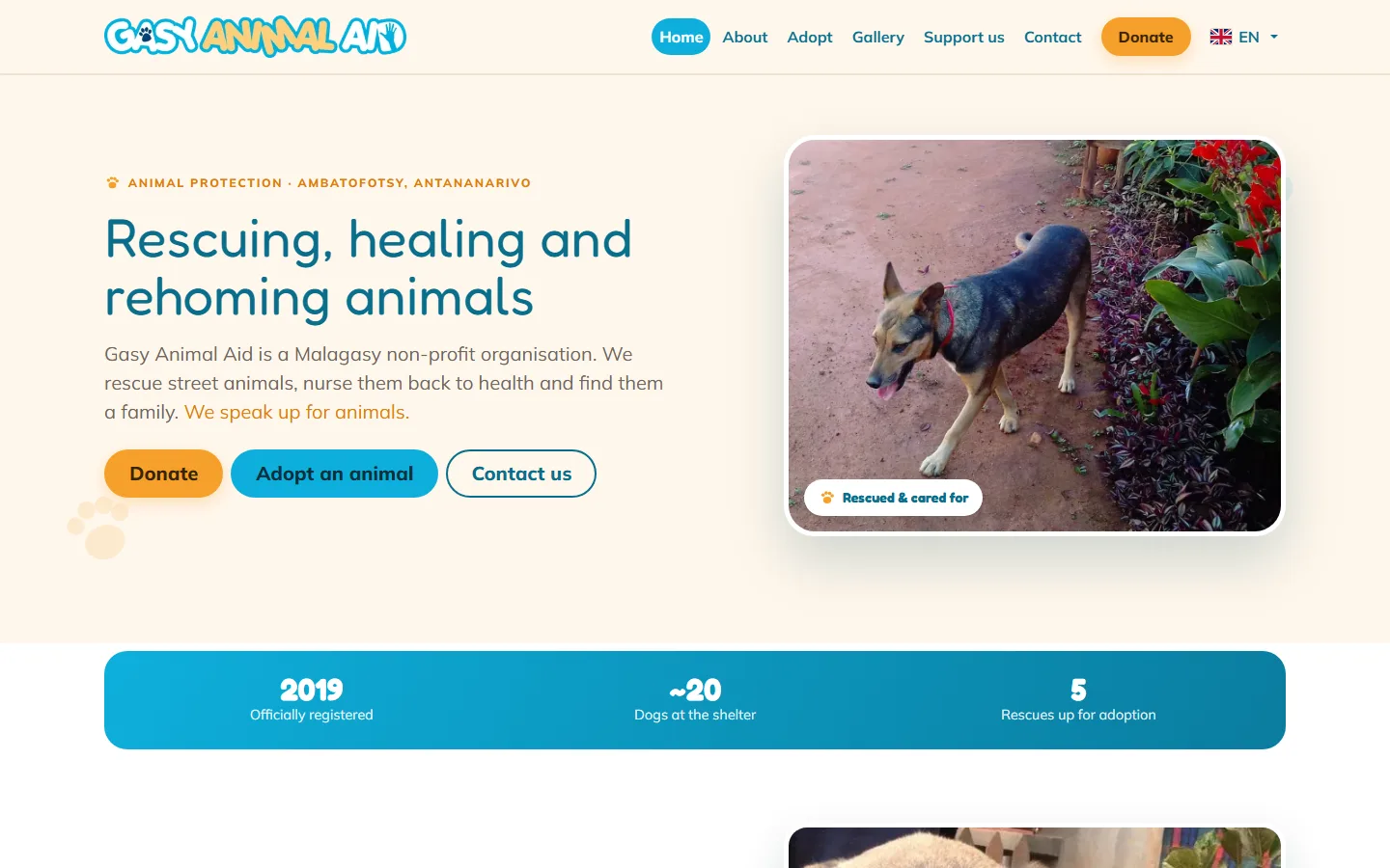 Forsiden af Gasy Animal Aids website